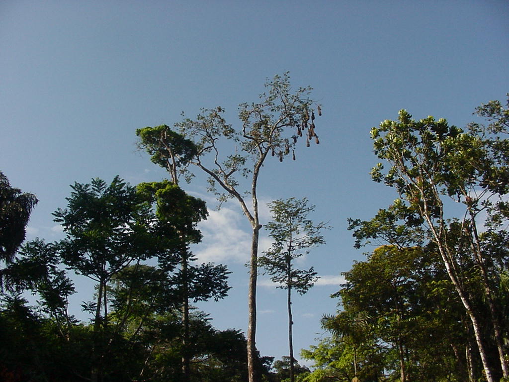 Costa Rica Project Photo